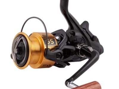 Daiwa 20 GS BR LT Reel