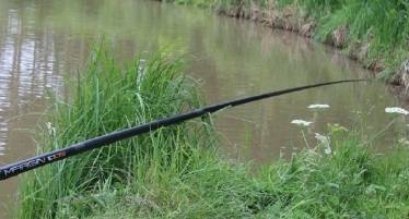 best poles for margin fishing