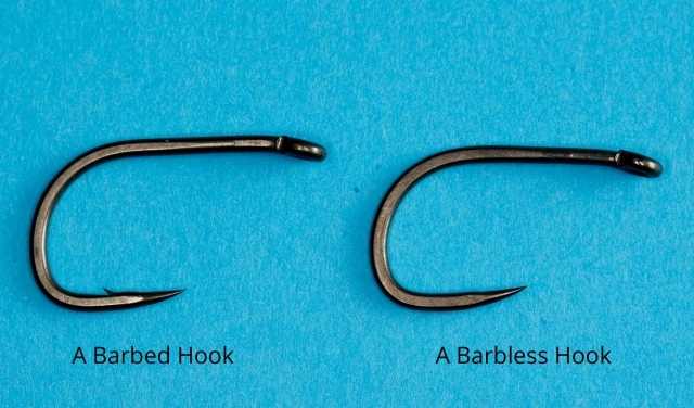 barbed vs barbless hooks for carp fishing rigs barbed vs barbless hooks for carp fishing rigs
