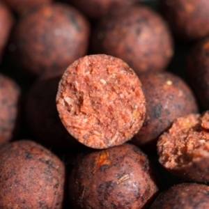 boilies boilies