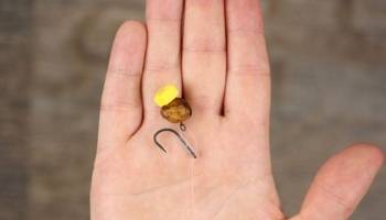 Carp fishing rigs for beginners - The D Rig - Step 7 Carp fishing rigs for beginners - The D Rig - Step 7