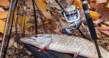 best rod and reel combo for pike fishing