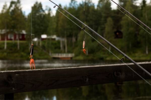 pike lure rods best pike lure rods