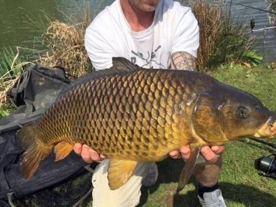 Brook Meadow Best Pet Friendly Fishing holiday lodges
