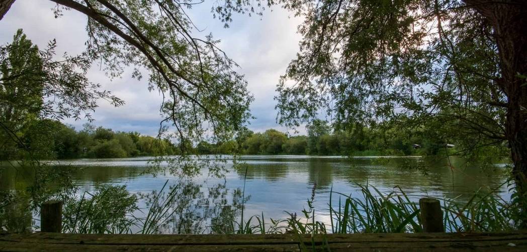 bluebell lakes The best 50lb carp lake in the UK