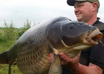 willow lakes 50lb carp lakes UK