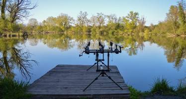 How to start carp fishing