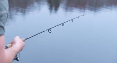 Best Fishing Rod For Beginners